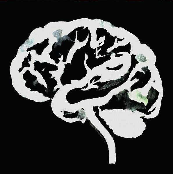 Ruins - Brain Flakes LP Schallplatte, Electronic, Grau, 2024 - Bild 1
