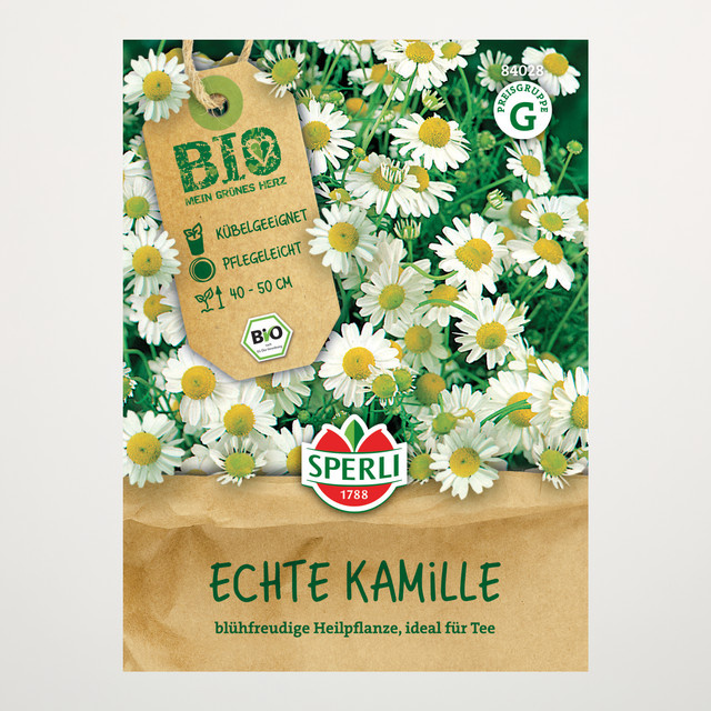 Sperli Echte Kamille Bio Samen - Bild 1