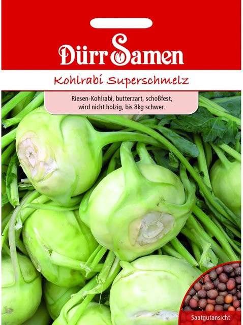 Dürr Kohlrabi Superschmelz Saatgut - Bild 1