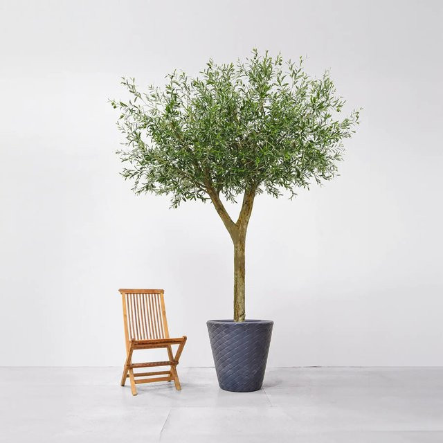 Künstlicher Olivenbaum von Aplanta, Höhe: 300 cm - Bild 1