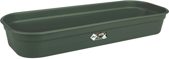 Anzuchtschale Elho Green Basics Grün B: 52 cm, T: 19,5 cm, H: 8 cm - Bild 1