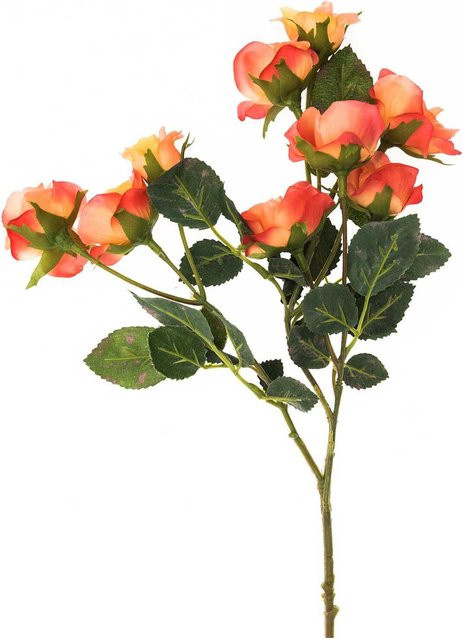 idee. Creativmarkt Künstlicher Rosenzweig in Apricot, Höhe: 33 cm - Bild 1