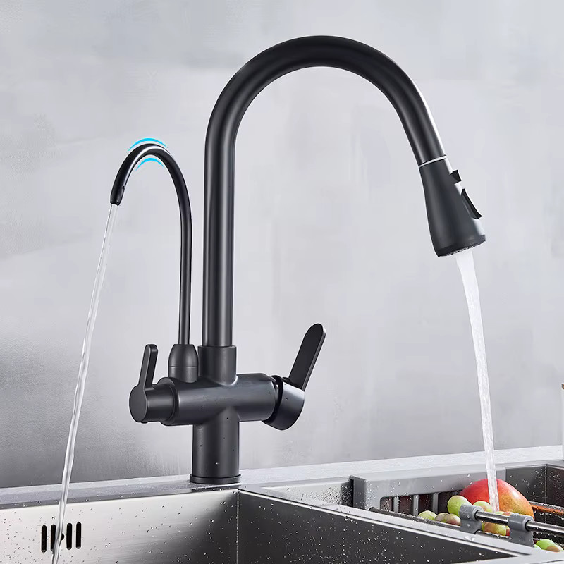 Wasserfilter-Küchenarmatur Rozin in Schwarz mit 360° drehbarer ausziehbarer Brause und 3-Wege-Mischbatterie für Heiß- und Kaltwasser - Bild 2