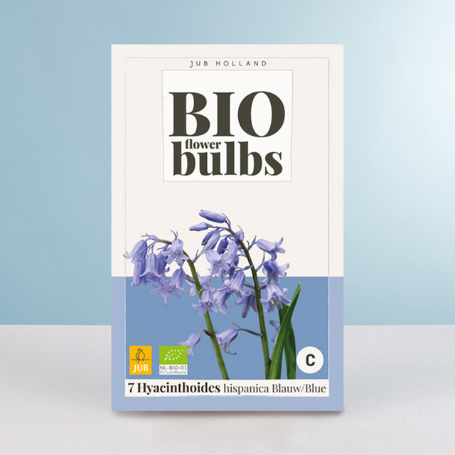 BIO Waldhyazinthen in Blau, 7 Zwiebeln von BLUME2000 - Bild 1