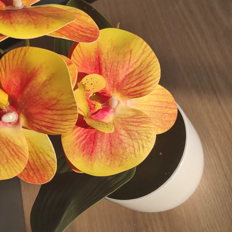NANDI Künstliche Schmetterling Orchidee als Topfpflanze für Tischdekoration und Home Office - Bild 3