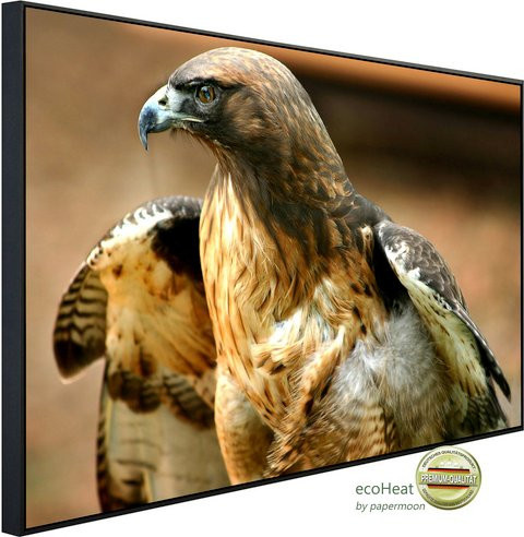 papermoon Infrarotheizung EcoHeat Red Tail Hawk mit Matt-Effekt in Bunt, App-Steuerung und Überhitzungsschutz - Bild 1