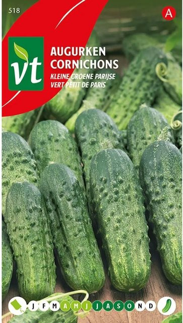 Arborix Einlegegurke Cornichon Vert Petit de Paris Samen für kleine Früchte, 3 g - Bild 1