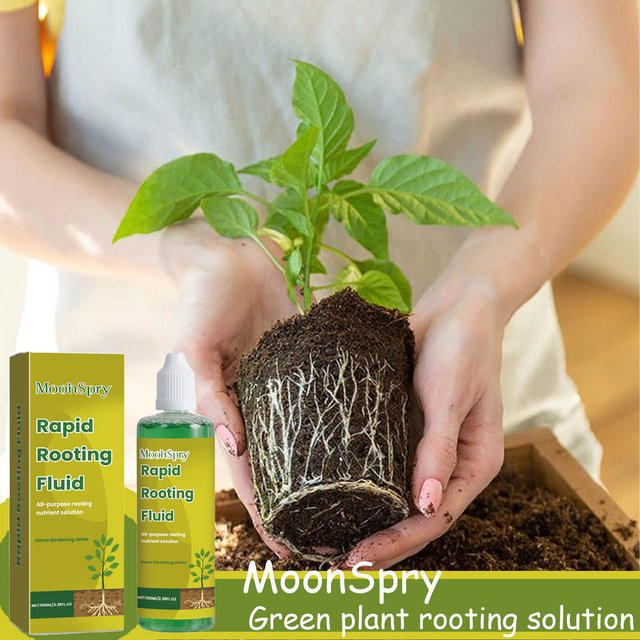 MOONSPRY Sukkulenten-Wurzel-Booster flüssiger Dünger zur Förderung der Wurzelentwicklung für Topfpflanzen, 100 ml - Bild 1