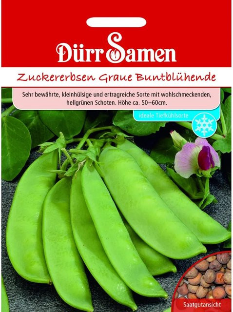 Dürr Zuckererbsen Saatgut Graue Buntblühende Samen - Bild 1