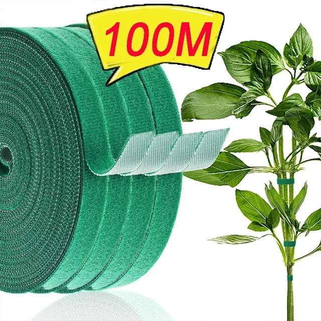Selbstklebende Nylon-Pflanzenbinder in Grün zur Unterstützung und Befestigung von Rankpflanzen - Bild 1