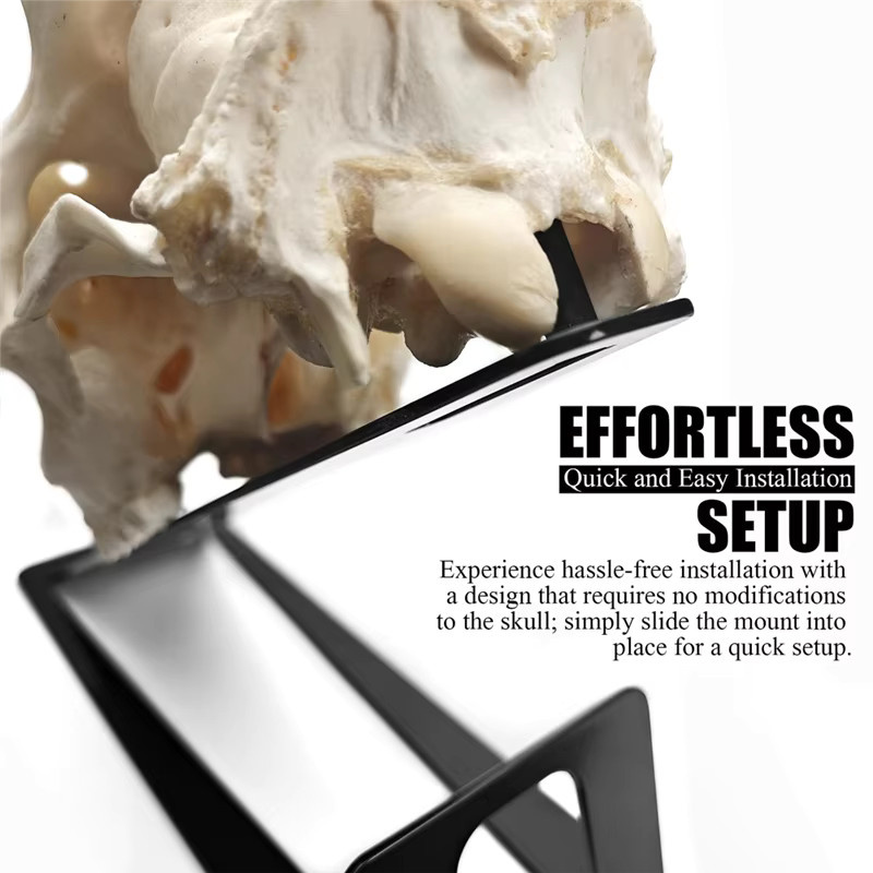 SEHOR European Mount Skull Hanger aus Metall in Schwarz zum Aufhängen von Hirschschädeln und Pronghorn-Schädeln - Bild 3