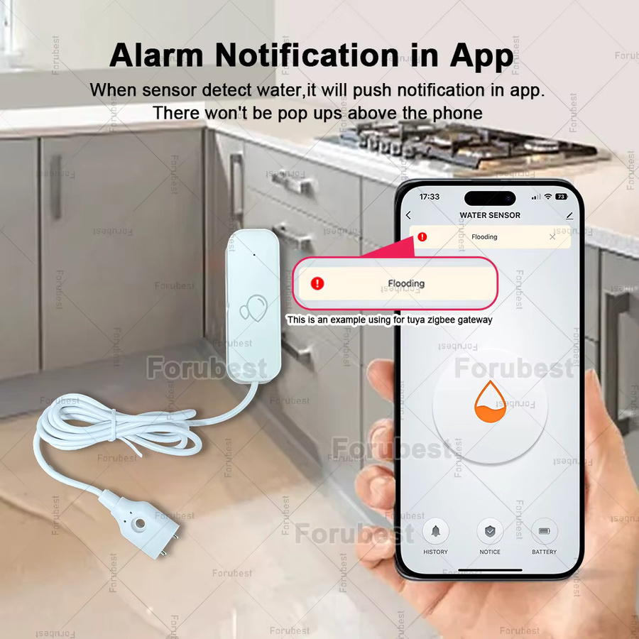Tuya Smart Zigbee Wassersensor in Weiß zur Hochwasser- und Leckage-Erkennung mit App-Fernüberwachung und Home Assistant Unterstützung - Bild 3