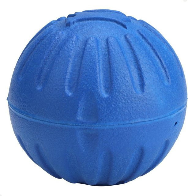 GoolRC Hund Ball Spielzeug, 1-teiliges Set, blau - Bild 1