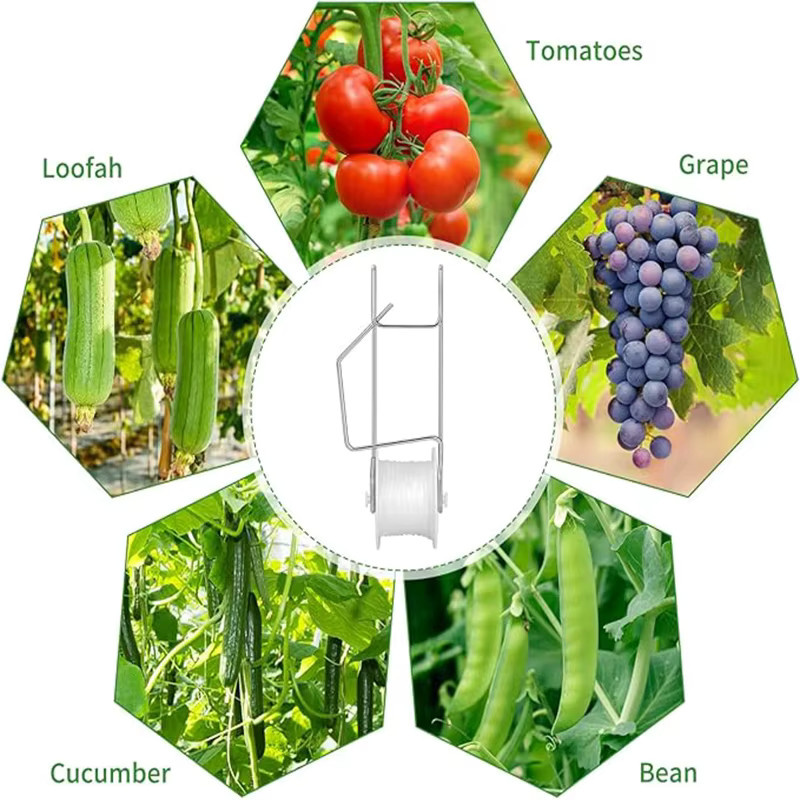 10er Set Gartenpflanzen-Rollhaken als Stützhaken-Set für Tomaten, Auberginen, Wassermelonen und Paprika - Bild 6
