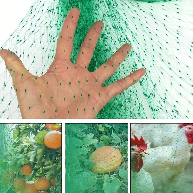 Grünes Gartennetz als Pflanzenschutz gegen Vögel und Tiere für Gemüse- und Ziergärten - Bild 2