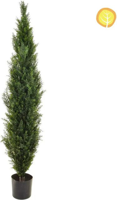 Künstliche Zeder Ingo von Aplanta, Höhe: 150 cm - Bild 1