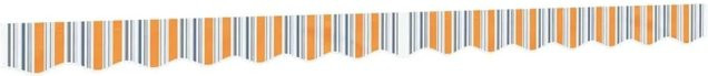 vidaXL Markisenvolant aus Polyester, Mehrfarbig Gestreift, 3,5 m - Bild 1