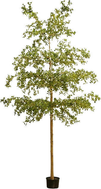 Künstlicher Olivenbaum Finja von Aplanta in Schwarz, Höhe: 390 cm - Bild 1