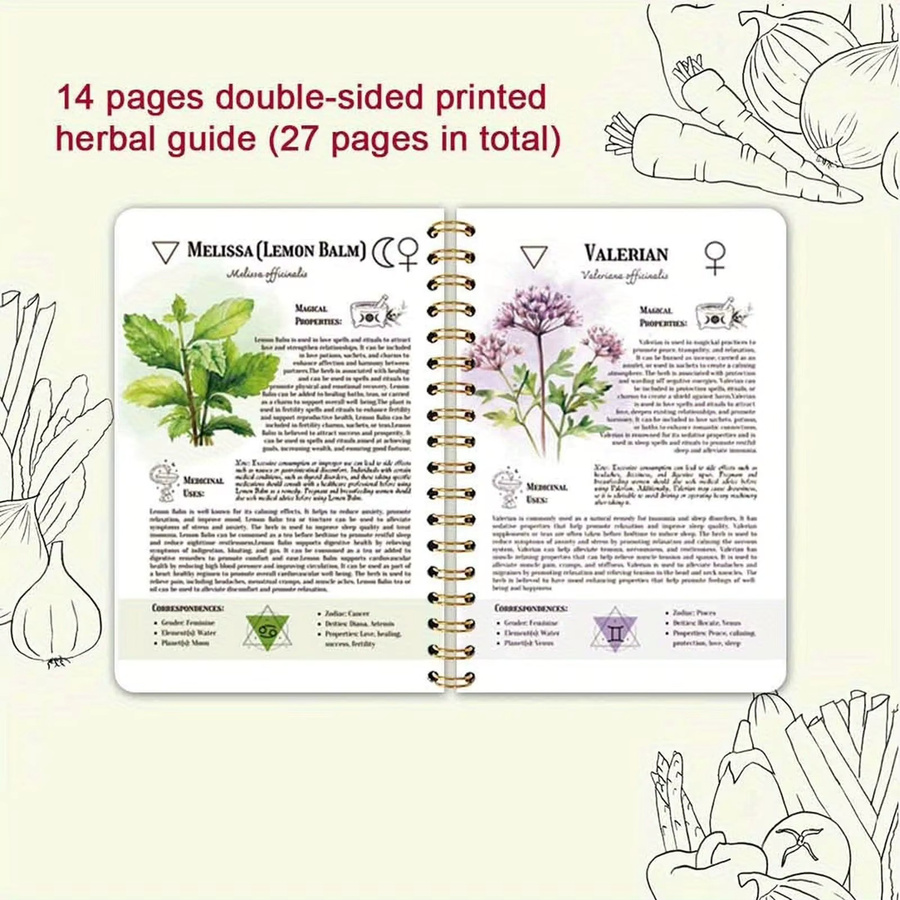 Witch Herbal Notebook Premium-Tagebuch in Grün mit strukturiertem Layout für deine Lebensplanung und medizinischen Aufzeichnungen - Bild 2