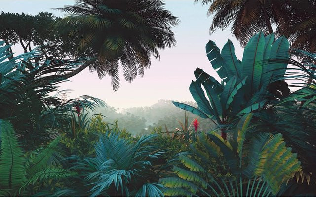 Komar Vliesfototapete Jungle Morning multicolour B: 400 cm, H: 250 cm - Bild 1
