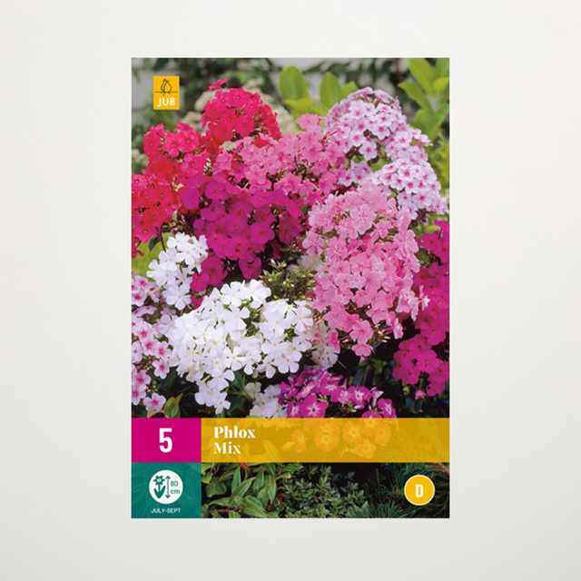 Phlox paniculata Mix Staudenbeet von BLUME2000, 5 Wurzeln - Bild 1