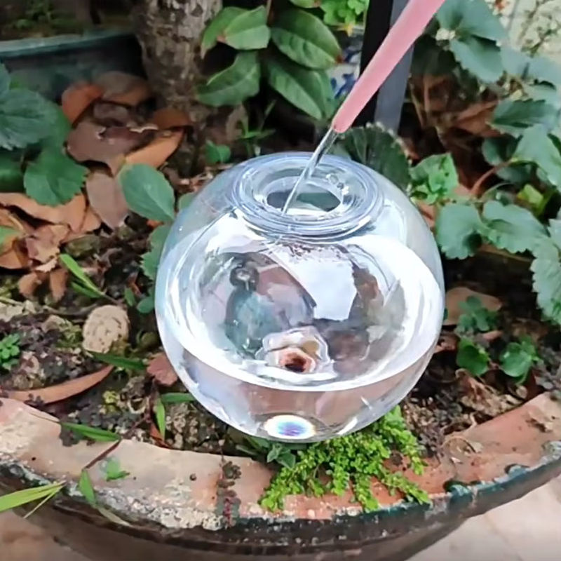 Shunmaii Automatisches Pflanzenbewässerungssystem mit Tropfbewässerung und Selbstbewässerungskugeln, 500 ml, transparent - Bild 3
