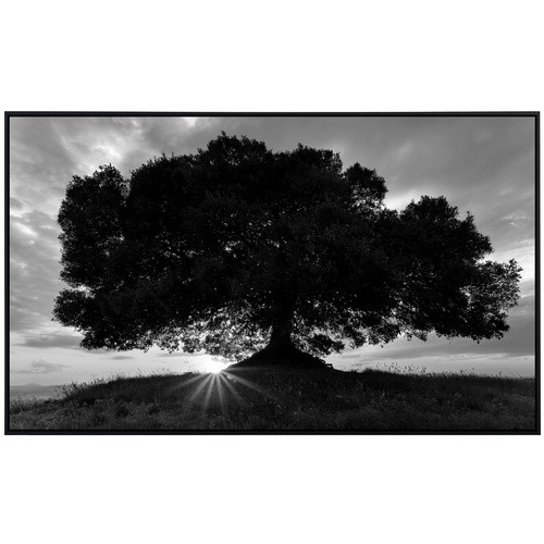 papermoon EcoHeat Infrarotheizung Baum in Schwarz und Weiss mit Matt-Effekt und App-Steuerung - Bild 2