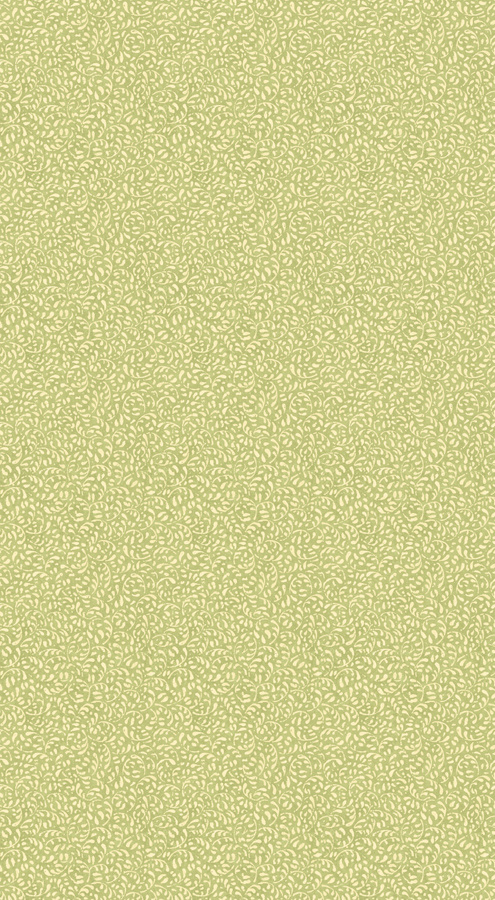 GP & J Baker Tapete Tansy in Grün mit botanischem und geometrischem Design aus Vlies - Bild 1