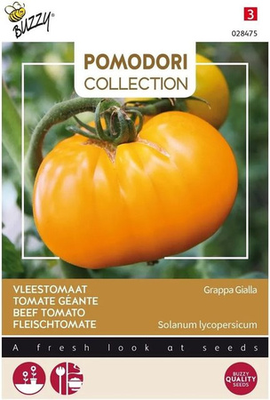 Buzzy Pomodori Fleischtomate Grappa Gialla Samen Gelb 1,5 g