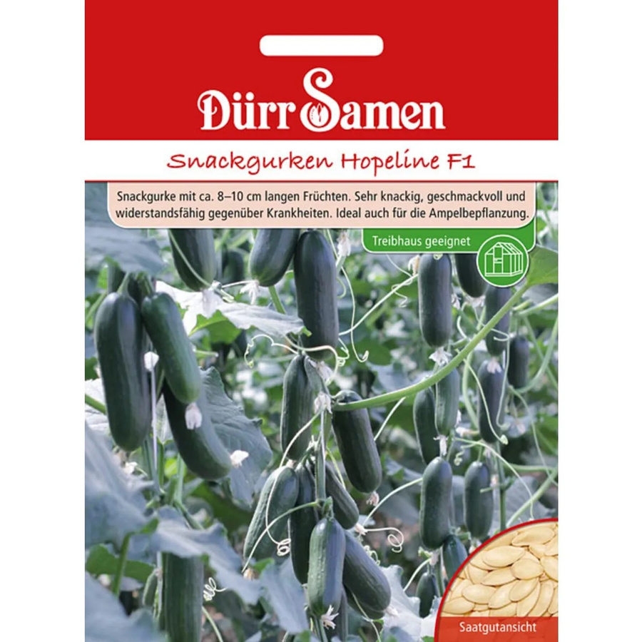 Dürr Samen Snackgurken Hopeline F1 Saatgut - Bild 2