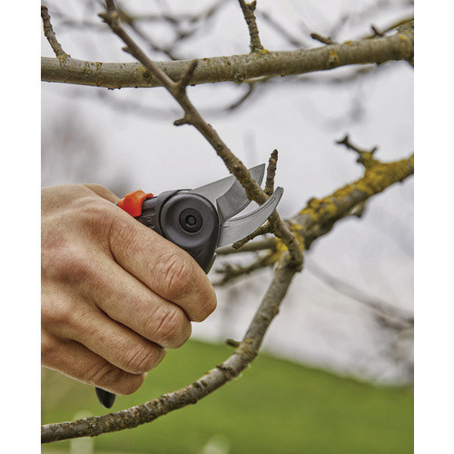 Gardena ExpertCut Gartenschere in Dunkelgrau/Türkis mit Edelstahl und glasfaserverstärktem Kunststoff, Maße L x B x H: 18 x 5,5 x 2 cm - Bild 2