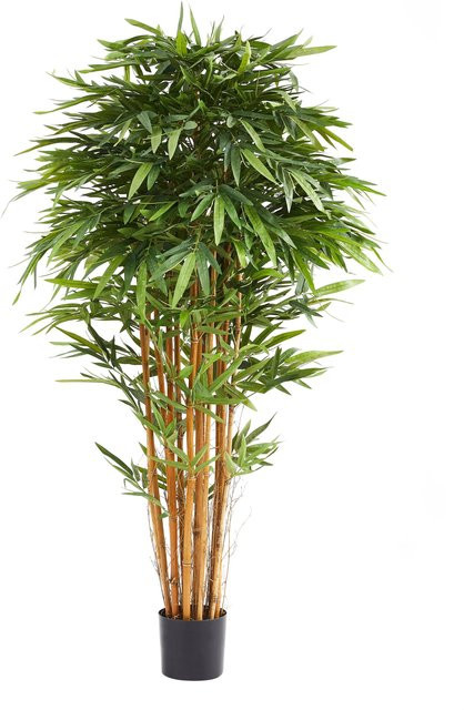 Künstlicher Bambus Baum von Aplanta in Grün, Höhe: 180 cm - Bild 1