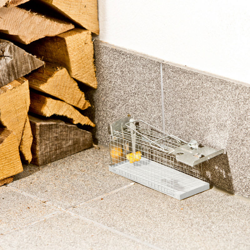 WINDHAGER Drahtkasten-Rattenfalle aus Metall in Silberfarben - Bild 2