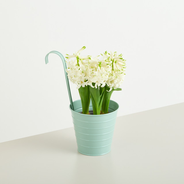 Blume2000 Metall Hängetopf Grün, Durchmesser: 13 cm - Bild 1
