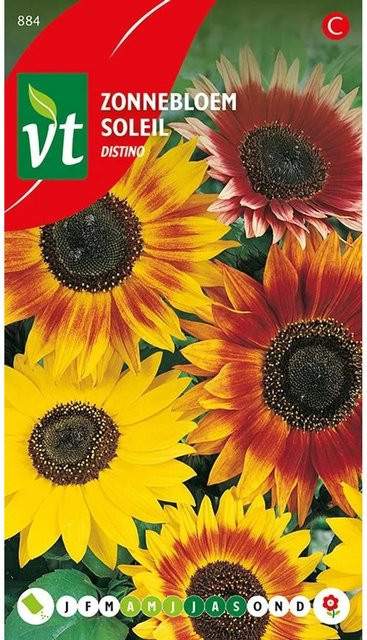 Arborix Sonnenblume Distino Samen für große Blüten mit ca. 1 g Füllmenge - Bild 1