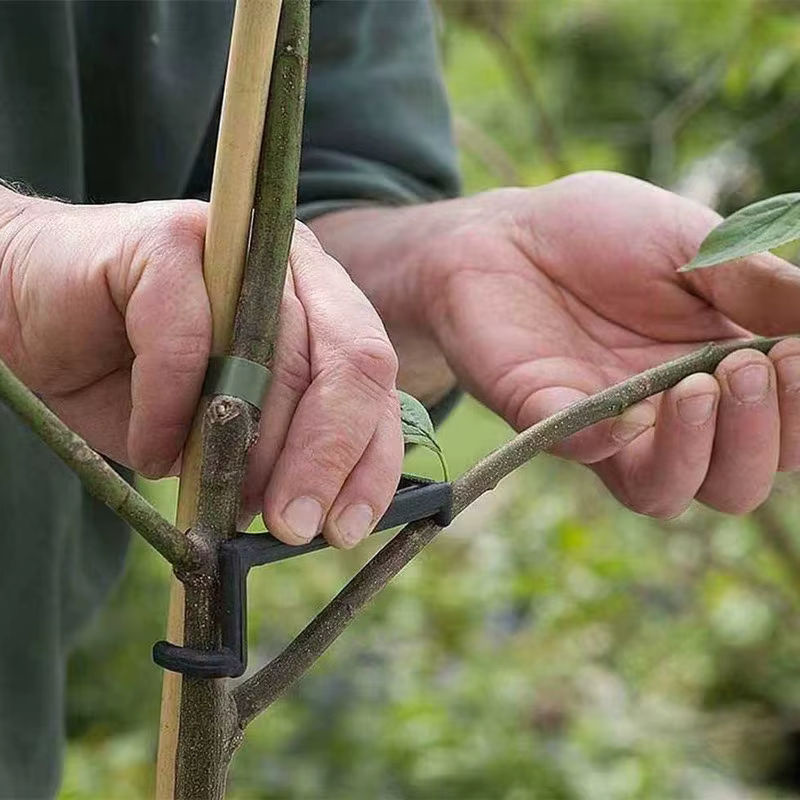 Pflanzen-Biegeclips zur Formgebung von Obstbäumen, Reben und Bonsai in Schwarz - Bild 4