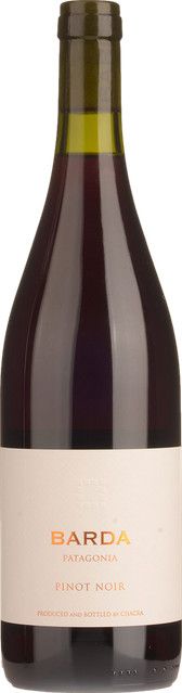 Bodega Chacra Pinot Noir Rotwein 2024, Rio Negro, Argentinien, 0,75 l - Bild 1