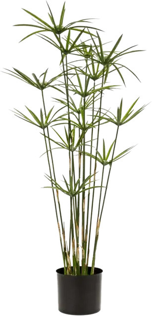 Künstliches Zypergras Lilli von Aplanta, Höhe: 90 cm - Bild 1