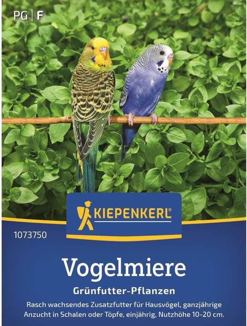 Kiepenkerl Vogelmiere Saatgut für den Garten und Kräutergarten - Bild 1