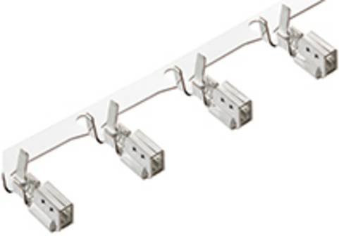 Molex WTB/WTW/B-IN 502179101 Messing Weiß - Bild 1