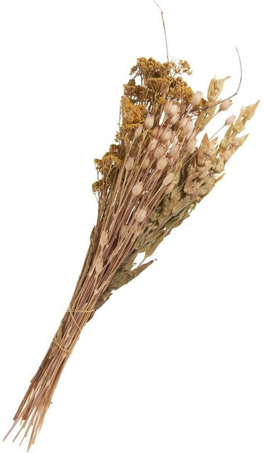 Trockenblumen Set Lona von Othmar Decorations in Beige aus Naturmaterialien - Bild 1