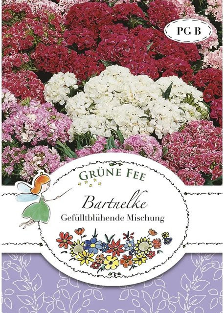 Grüne Fee Bartnelke Saatgut gefülltblühende Mischung für Beete und Schnittblumen - Bild 1