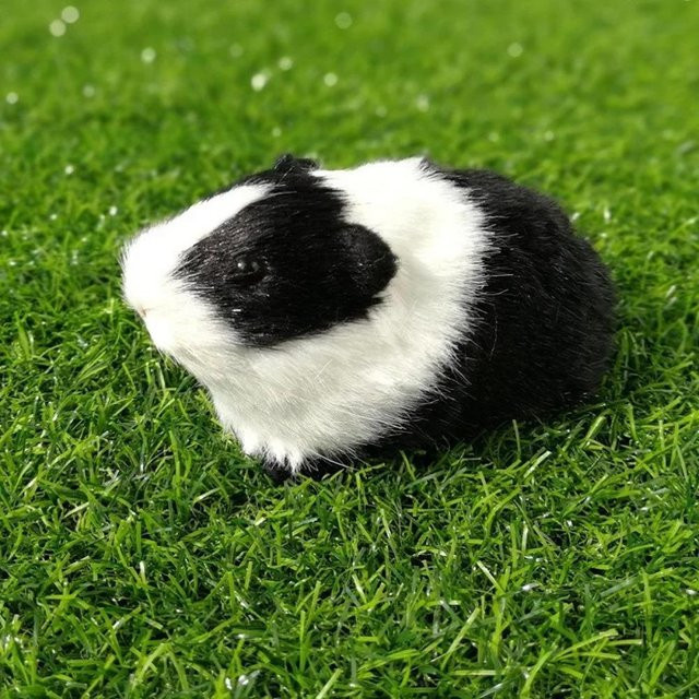 Kidsly Meerschweinchen Plüschtier, schwarz, ab 14 Jahren - Bild 1