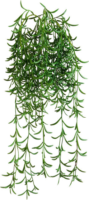 Künstliche Hänge-Sukkulente Henriette von Aplanta, Höhe: 45 cm - Bild 1