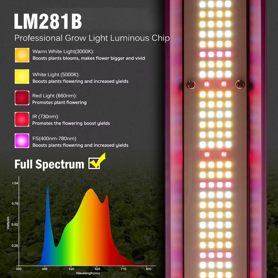 GRAXIDEA LED-Pflanzenlampe Vollspektrum in Schwarz, dimmbar mit Daisy-Chain-Funktion und integriertem Netzteil für Indoor-Gärtnerei - Bild 2