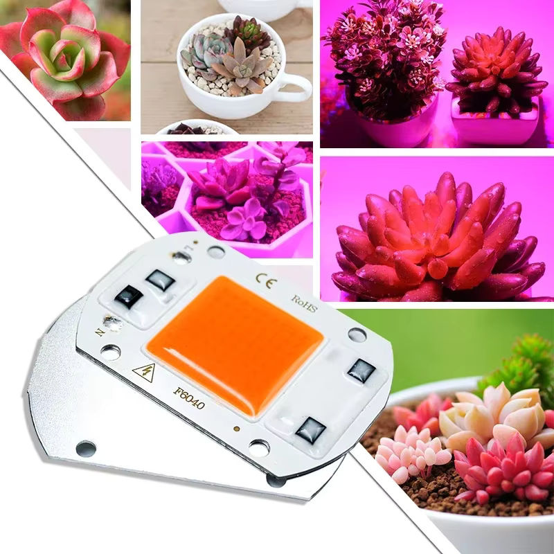 Sagra LED Vollspektrum Pflanzenlampe mit COB Chip für Hydrokultur, Blumen und Sämlinge - Bild 5