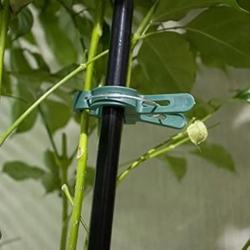 100 Stück verstellbare Pflanzenfixierclips von YWZT Home Depot in Grün zur Befestigung von Blumen, Ranken und Tomaten im Garten - Bild 10