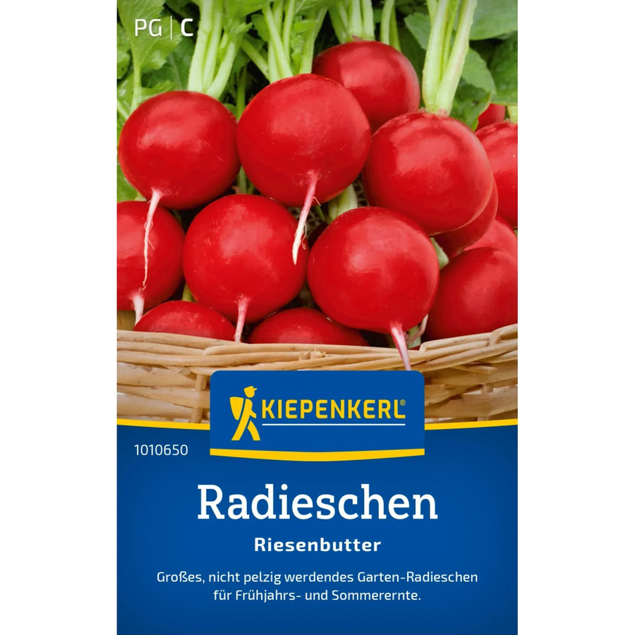 Kiepenkerl Radieschen Riesenbutter Sommersorte - Bild 2