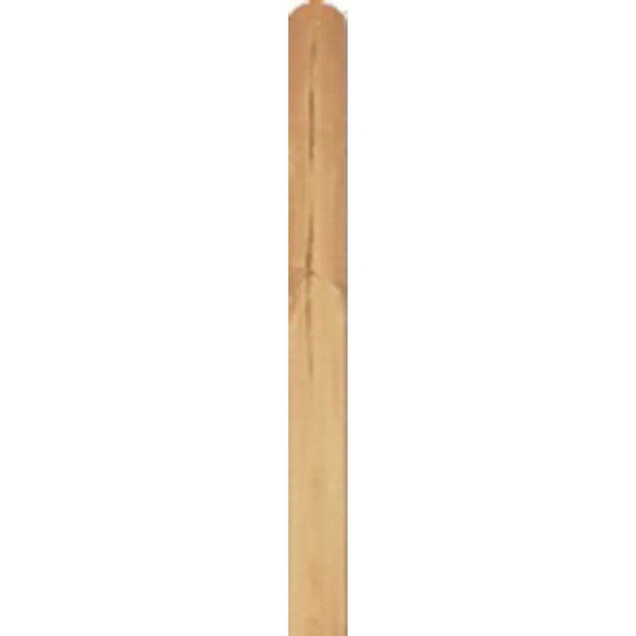 T & J Einzellamelle Lieke-Serie aus Kiefern- und Fichtenholz, Braun, B: 12 cm, H: 180 cm, T: 1,4 cm - Bild 2