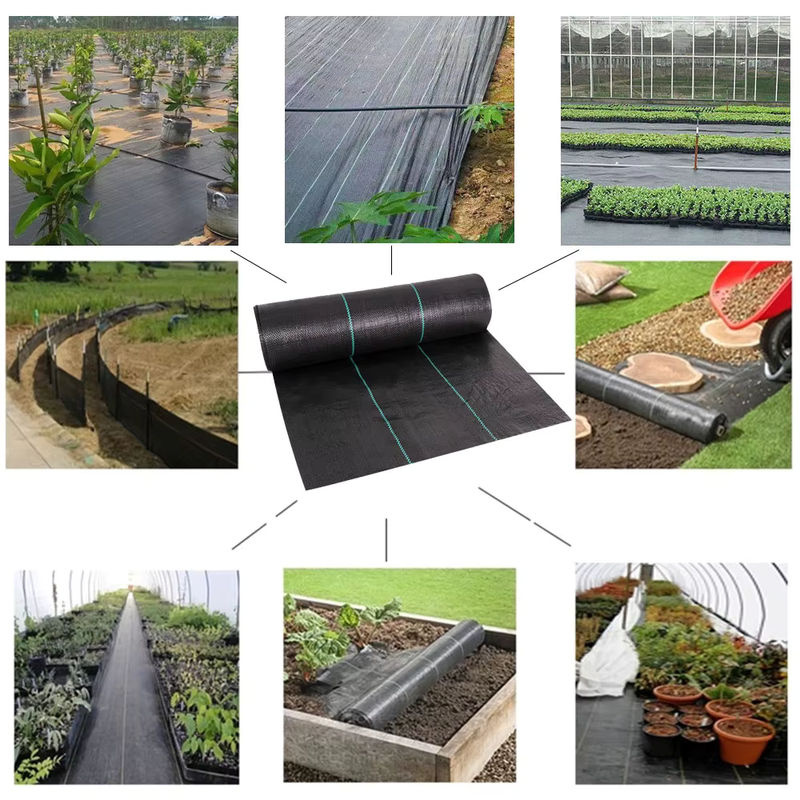 Schwarzes Unkrautvlies aus PE für Landwirtschaft und Gewächshaus, wasserdurchlässige Mulchmatte zur Unkrautbekämpfung - Bild 2